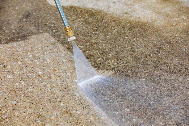 Best Roof Washing  in Cadiz, OH